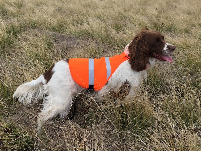 ALTAWASH Falconry Vest – Gun Dog Handler's Vest, Orange Reflector, Hunting & Shooting, Work K9