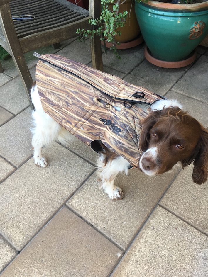Avery on sale dog vest