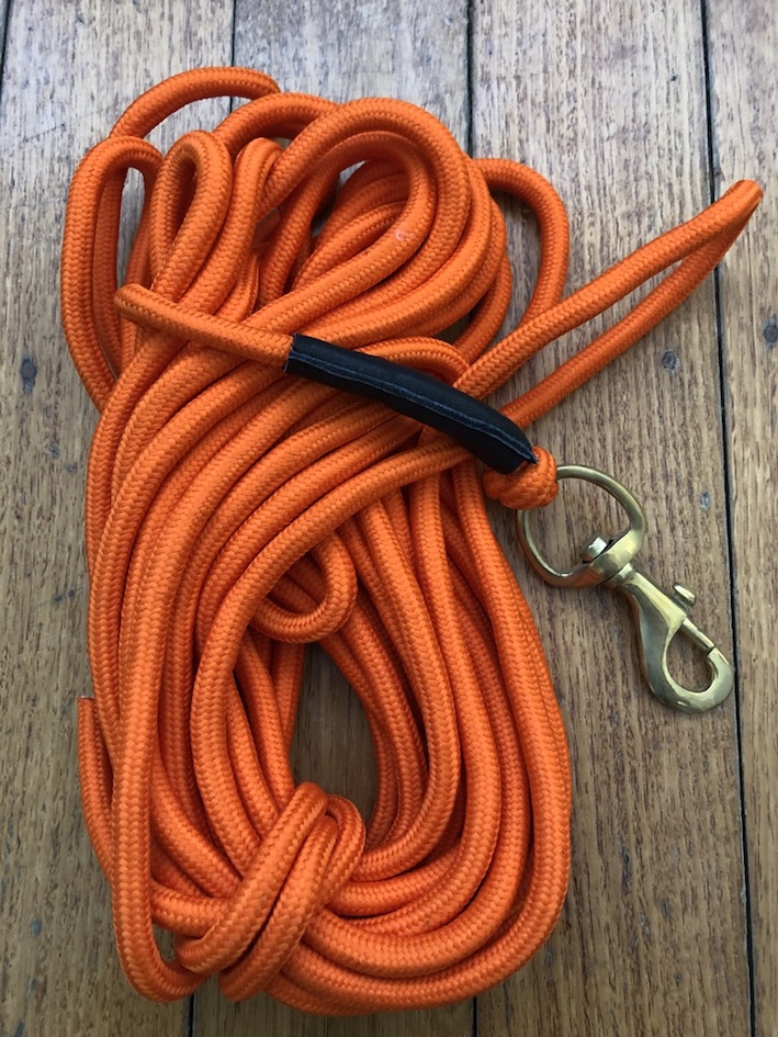 Long Dog Lead Professional 10 metre Dog Trainer Blaze Long Lead with
