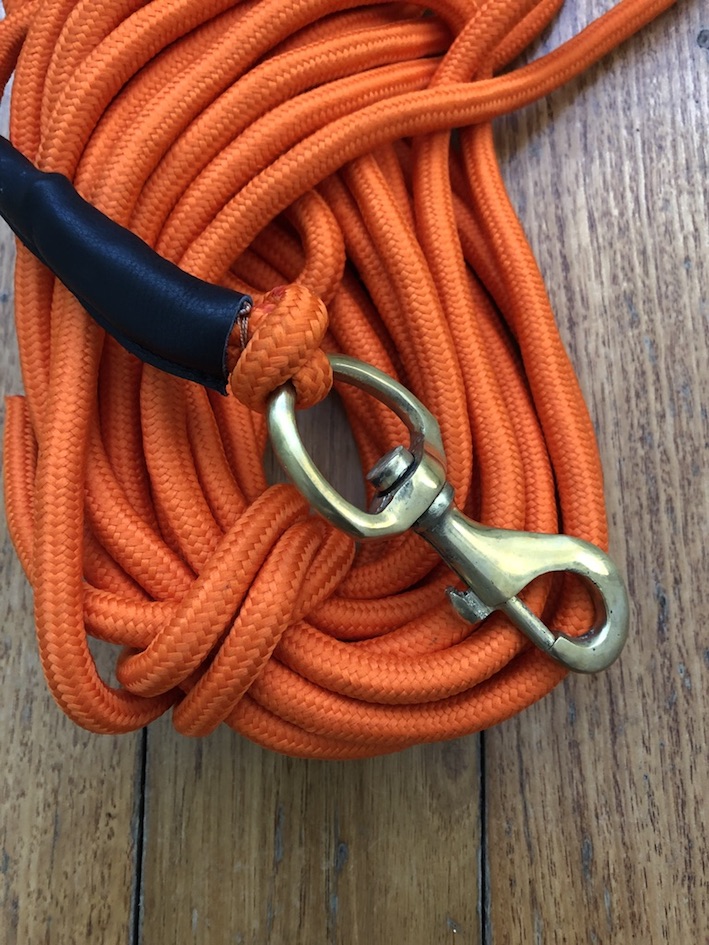 Long Dog Lead Professional 10 metre Dog Trainer Blaze Long Lead with