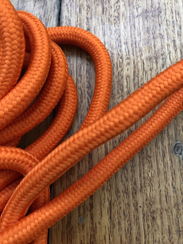 Long Dog Lead Professional 10 metre Dog Trainer Blaze Long Lead with