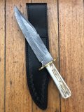Damascus Knife: Damascus Bowie with Stag Horn Handle & Black Sheath