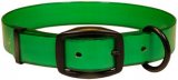 Avery Coated Green Dog Collar in size Small