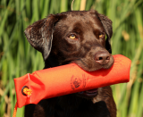 Dog Training Dummy: RRT 3" Cordura Orange Dummy 13" Long