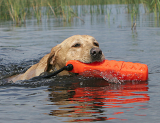 Avery 2" Blaze Orange Floating Hexa-Bumper