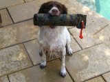Dog Training Dummy: RRT 3" Cordura Camo RATG/RT Dummy 13" Long