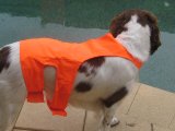 Blaze Orange Gun Dog Tummy Saver Vest Small Size & Collar Combo