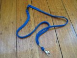 Lanyard: Blue Whistle Lanyard