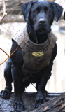 Avery Floating Neoprene Tuff 5mm Dog Vest in Nat Gear Camo - 2XL