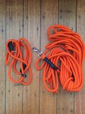 Long Dog Lead: Professional 10 metre Clip Dog Training Blaze Long Lead and 150cm Blaze Slip Lead Combo