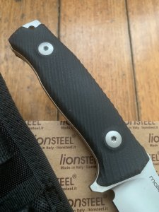LionSTEEL Italy. Model M5 G10 G10 Handle Silver Blade with Tactical Sheath
