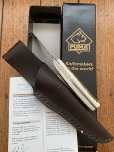 Puma Knife: Puma Pro Hunter Gut Hook Knife 2007 with Stag Antler Handle and Box