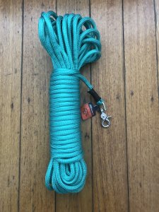 Long Dog Lead: Professional 20 metre Dog Trainer Aqua Green Long Lead