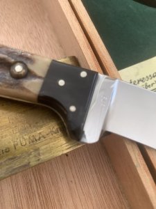 Puma Knife: Puma 1967 ForsterNicker Knife with Stag Handle & Original Wooden Box #84607