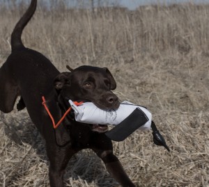 RRT Strobe Throw Duck Dummy - Black & White