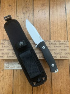 LionSTEEL Italy. Model M5 G10 G10 Handle Silver Blade with Tactical Sheath