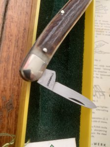 Puma Knife: Puma 1984 Bantam Folding Knife with Stag Antler Handle & Original Green & Yellow Box  #40482