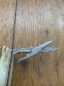 Puma Knife: Puma Executive 3 Blade Multi-Use Folding Knife with Stag Handle