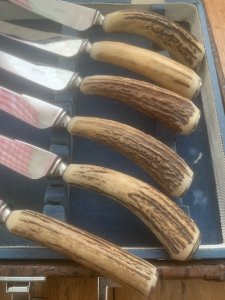 ASHBERRY Sheffield England 1930's-50's 12 Piece Stag Handled Knife & Fork Set.