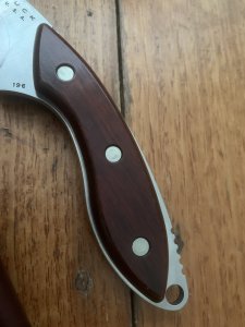 Buck Knife: Buck 196 Mini Alpha Hunter Cocobolo Handle & Leather Sheath