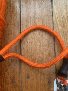 Long Dog Lead: Professional 20mt 3-in-1 Dog Trainer Blaze Long Lead