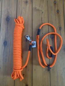 Long Dog Lead: Professional 10 metre Clip Dog Training Blaze Long Lead and 130cm Blaze Slip Lead Combo