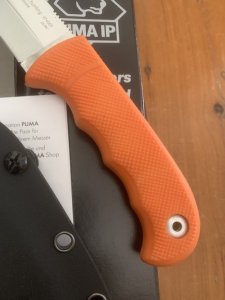 Puma Knife: PUMA IP Smart Hunting Orange Handle Fixed Blade with Gut Hook Knife & Kydex Sheath