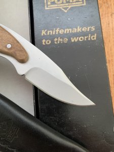 Puma Knife: 2006 Puma Python Hunter Thuya Wood Handle Knife 133501
