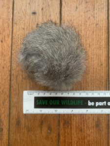 Dog Training Dummy: Real Rabbit Fur Ball