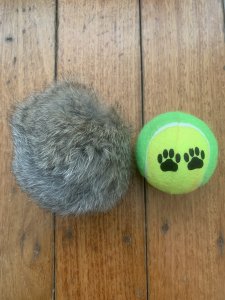 Dog Training Dummy: Real Rabbit Fur Ball