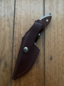 Buck Knife: Buck 196 Mini Alpha Hunter Cocobolo Handle & Leather Sheath