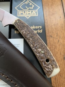 Puma Knife: Puma Pro Hunter Gut Hook Knife 2007 with Stag Antler Handle and Box