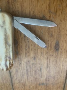 Puma Knife: Puma Executive 3 Blade Multi-Use Folding Knife with Stag Handle