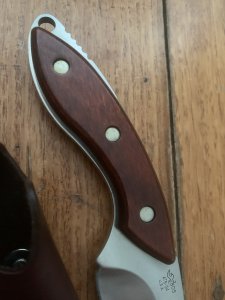 Buck Knife: Buck 196 Mini Alpha Hunter Cocobolo Handle & Leather Sheath