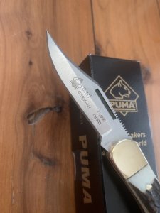 Puma Knife: 2008 Puma Earl Folding Knife with Stag Antler Handle