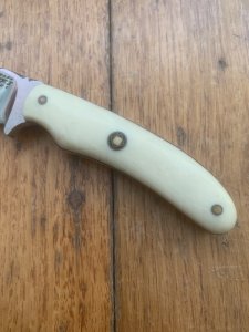 MAFFI SYDNEY AUSTRALIA Small Bone Handled Fixed Blade Knife