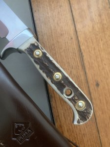 Puma Knife: Puma Phönix-Phoenix Big Bowie Knife with Darker Stag Antler Handle