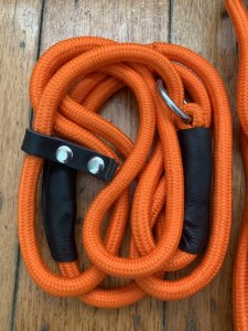 Long Dog Lead: Professional 10 metre Dog Training Blaze Long Slip Lead and 150cm Blaze Slip Lead Combo