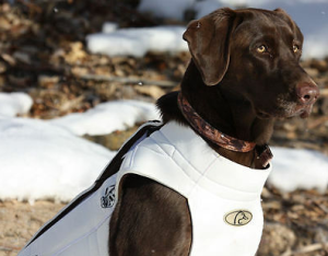 Avery Neoprene 5mm Boater's Dog Vest in White - 2XL