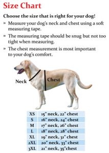 Avery Standard Neoprene 3mm Dog Vest in BuckBrush Camo - Medium