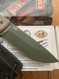 ESEE Knives- ESEE-5 Knife with Ivory Beige Micarta Handle Green Blade & Black Kydex Sheath