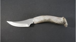 Silver Stag Crown Series Cascade Hunter Knife with Stag Antler Handle