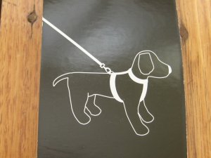 Dog Lead: Blaze/black Reflective Dog Lead