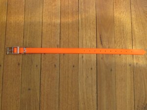 SOS Blaze Orange Dog Collar 2.5cm Wide 65cm with Silver Buckle