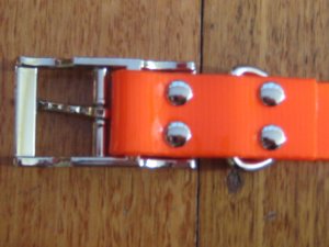 SOS Blaze Orange Dog Collar 2.5cm Wide 65cm with Silver Buckle