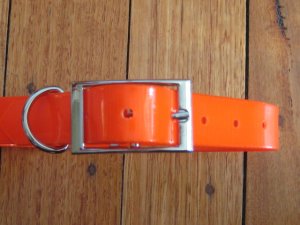 SOS Blaze Orange Dog Collar 2.5cm Wide 65cm with Silver Buckle