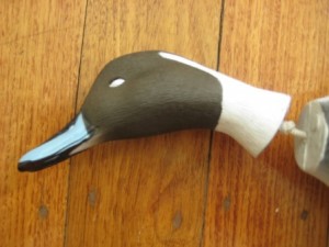 Avery Pintail Duck