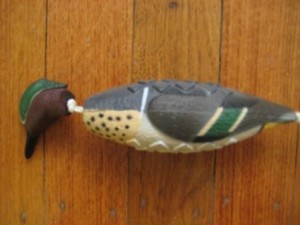 Avery Greenwing Teal