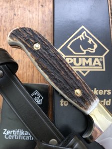 Puma Knife: Puma Waidmann Knife with Stag Antler Handle