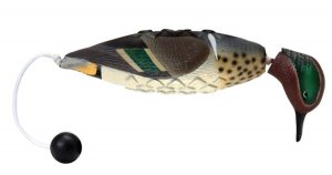 Avery Greenwing Teal